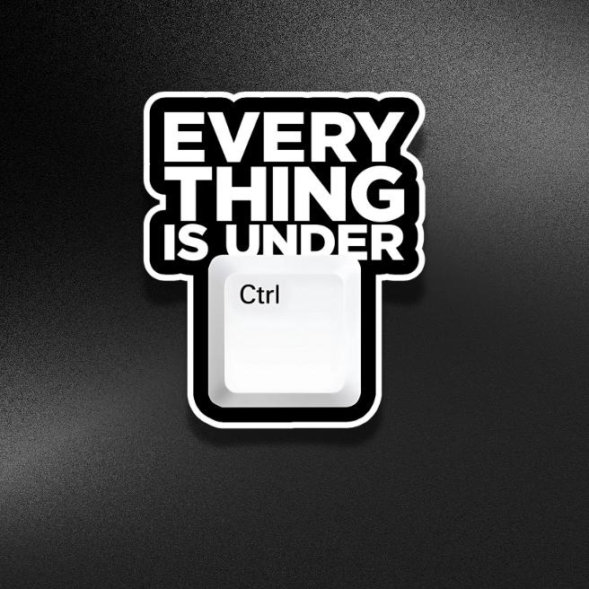 EVERYTHING IS UNDER CONTOL | STICKER