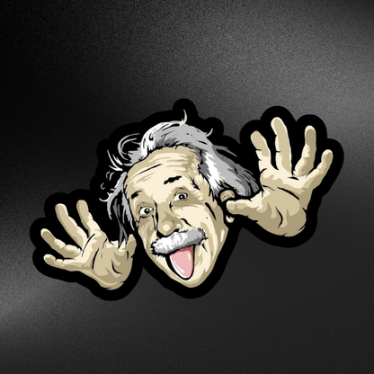 CRAZY EINSTEIN | STICKER